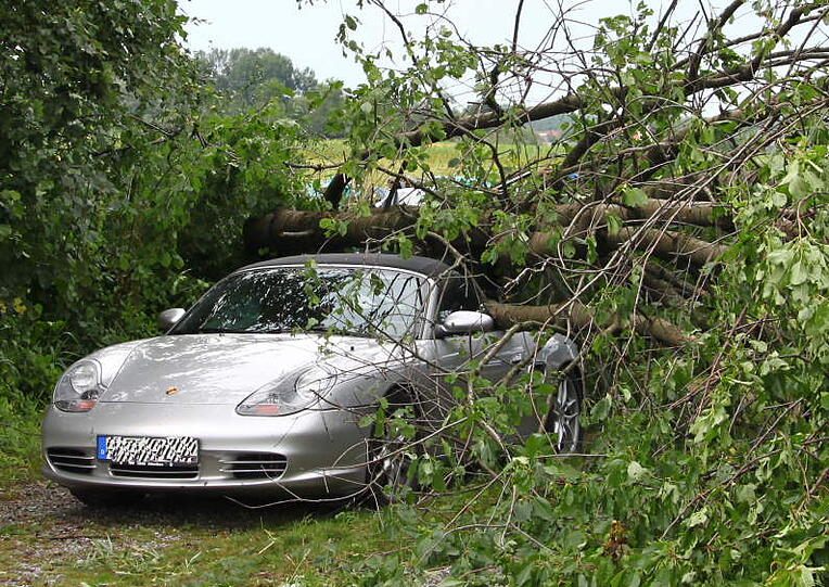 Hagel, Regen, umgeknickte Bäume, vollgelaufene Keller - Heftige Unwetter sind am Mittwochabend über Bayern gezogen. Die Bilder.