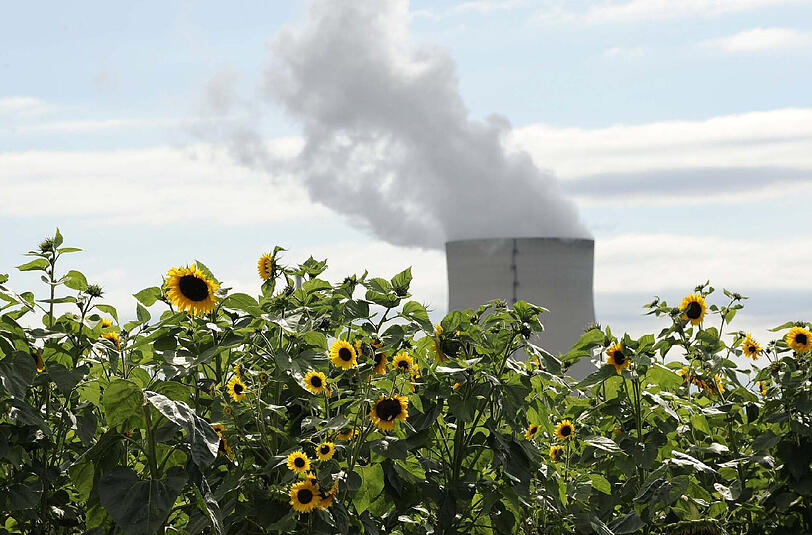 Bizarre Idylle: Sonnenblumen blühen vor dem Kühlturm des Kernkraftwerk Isar Block 2 &ndash; der Meiler liegt nicht weit von Landshut entfernt.