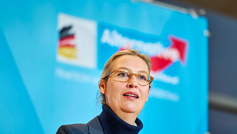 Die AfD-Chefin Alice Weidel bezeichnet ihre Partei unzureichend als "libertär-konservativ". Die AfD-Chefin Alice Weidel bezeichnet ihre Partei unzureichend als "libertär-konservativ".