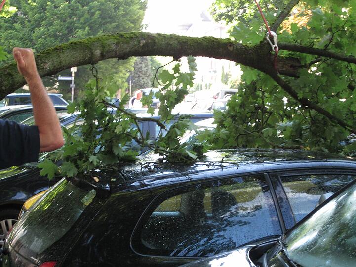 Die Bilder vom beim Gewitter völlig zerstörten Auto und dem unheilbringenden Ast.