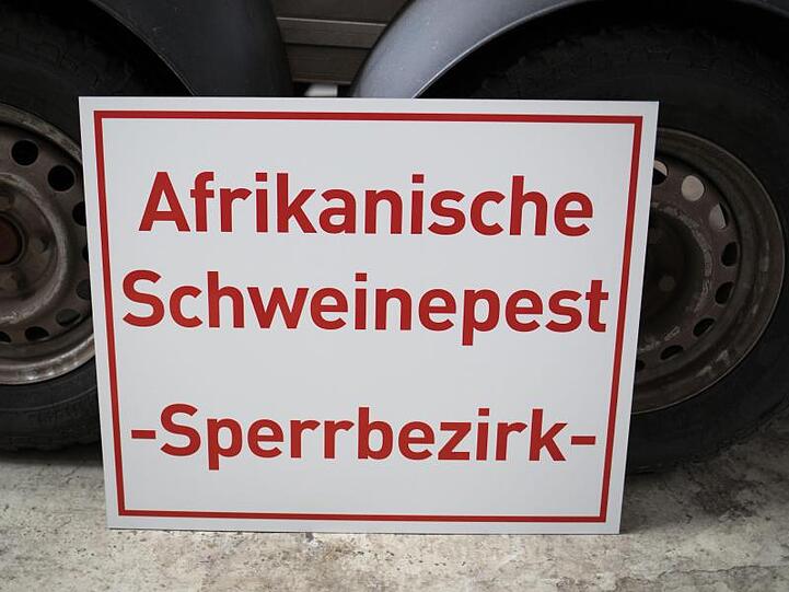 Die Afrikanische Schweinepest rückt immer näher an Deutschland heran.
