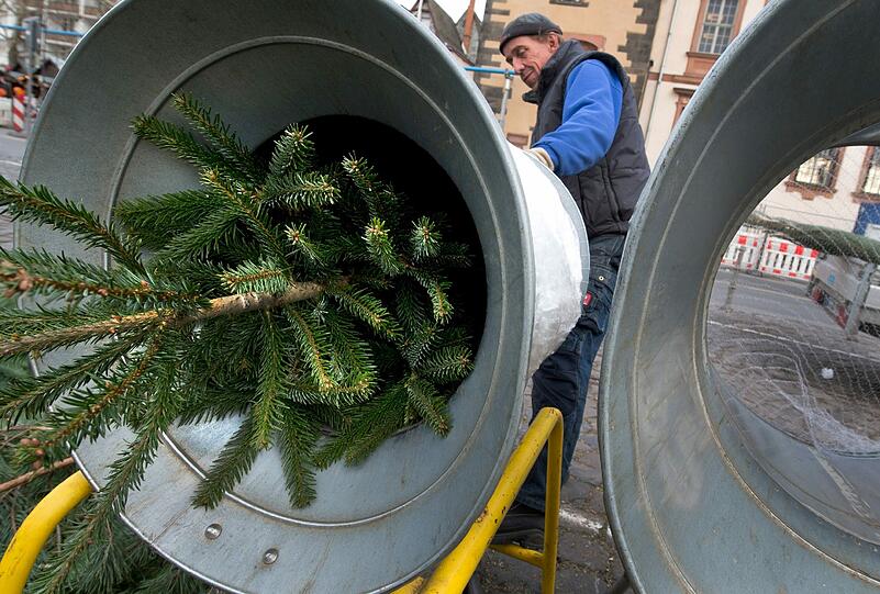 Weihnachtsbäume gibt es auch für Münchner, die sich in diesem Jahr keinen leisten können, gegen eine kleine Spende im Bogenhausener Weihnachtszauberwald.