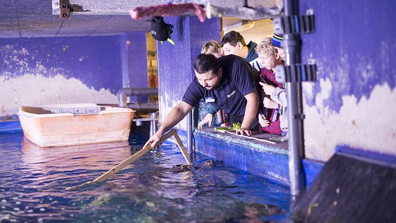 Kinder aus der Klasse 6 des Käthe-Kollwitz-Gymnasiumswaren durften bei der "Fischinventur" von Sea Life dabei sein.