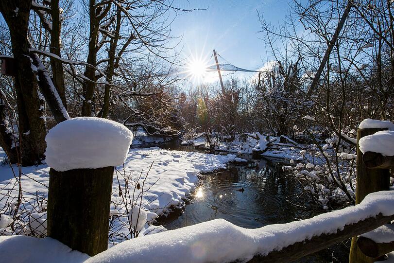 November/Dezember 2015: Wintereinbruch in Hellabrunn.