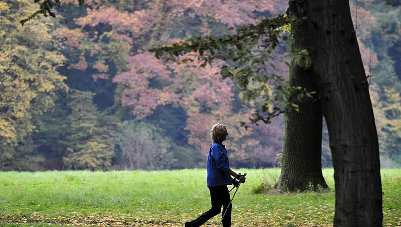 Beim Nordic Walking kommt der Stoffwechsel in Gang, Herz und Kreislauf werden angeregt. Beim Nordic Walking kommt der Stoffwechsel in Gang, Herz und Kreislauf werden angeregt.