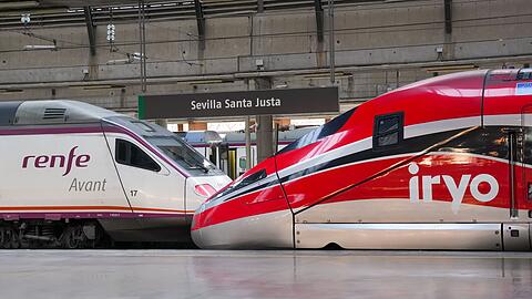 Das Ungl&uuml;ck wurde ausgel&ouml;st, als die beiden letzten Waggons eines Zuges der italienischen Gesellschaft Iryo entgleisten und in das Nachbargleis gerieten. Ein entgegenkommender Zug der spanischen Renfe konnte nicht mehr bremsen.