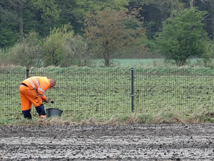 Mit einem knapp 70 Kilometer langen Zaun an der Grenze zu Deutschland will sich Dänemark vor der Afrikanischen Schweinepest schützen.