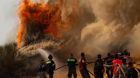 Feuerwehrleute und Freiwillige versuchen ein Feuer in Afidnes, etwa 30 Kilometer von der griechischen Hauptstadt Athen entfernt, zu löschen.
