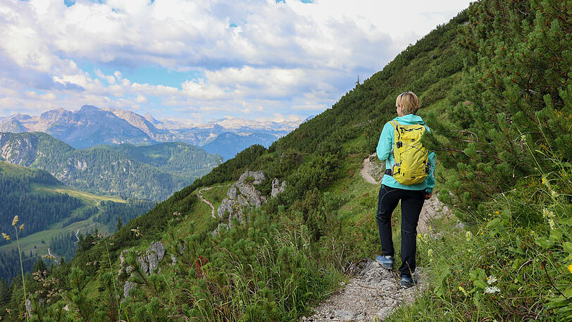 Pfade mit Panoramablick führen in die Bergwelt rund um den Jenner.