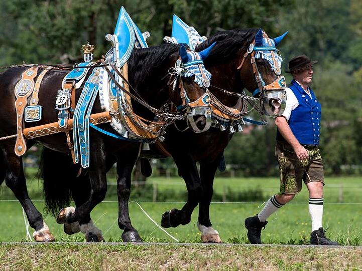 Teilnehmer beim traditionellen Rosstag in Rottach-Egern. Foto: Sven Hoppe/Archivbild