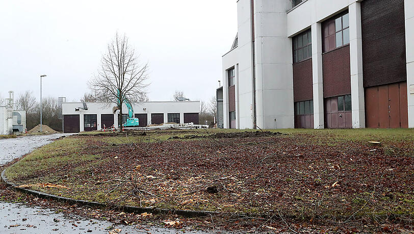 Auf dem ehemaligen Hitachi-Gelände werden offensichtlich Dutzende von Bäumen gefällt - inwieweit dort rechtswidrig vorgegangen wird, ist jetzt Gegenstand intensiver Untersuchungen.
