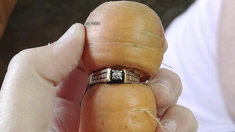Die heute 84-Jährige hatte ihren Ring 2004 bei Gartenarbeiten verloren - jetzt fand sie diese Möhre in ihrem Garten