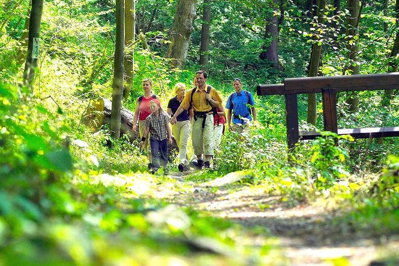Wandern mit Prädikat: Qualitätswanderwege müssen mindestens 35 Prozent naturbelassene Strecken enthalten, dazu Gasthäuser, Sehenswürdigkeiten und vor allem eine lückenlose Beschilderung.