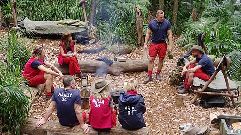 Stolperfallen will man verhindern: Um die Schlafpl&auml;tze herum wurde Rindenmulch ausgelegt