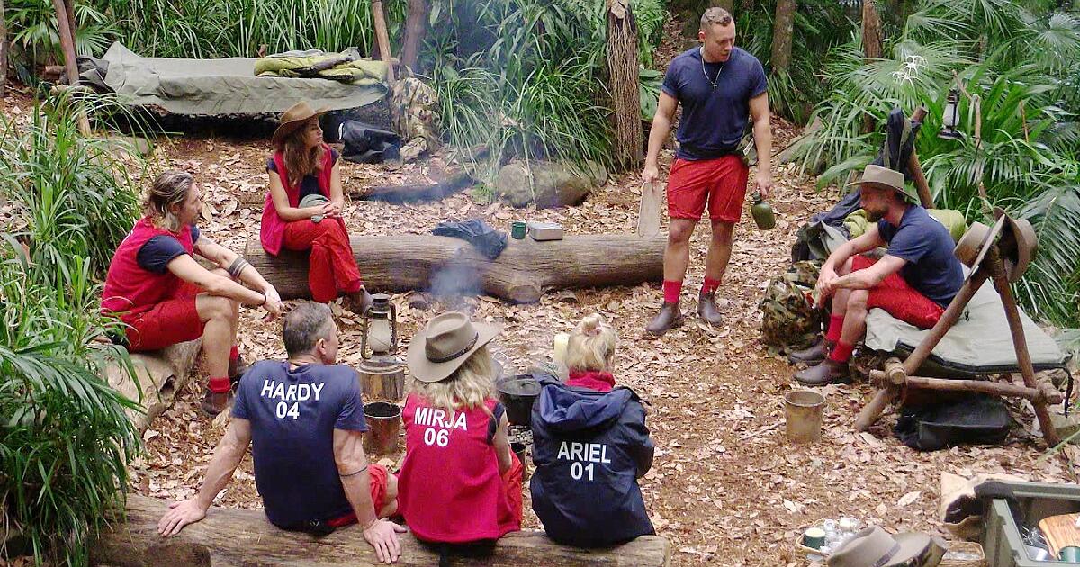 wie-echt-ist-das-dschungelcamp-hier-schummelt-rtl-f-r-den-dreh