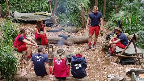 Stolperfallen will man verhindern: Um die Schlafpl&auml;tze herum wurde Rindenmulch ausgelegt