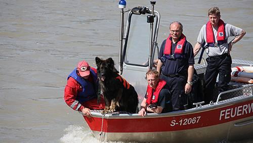 Bisher vergeblich: Die Suche nach der kleinen Viktoria auf der Salzach. Bisher vergeblich: Die Suche nach der kleinen Viktoria auf der Salzach.