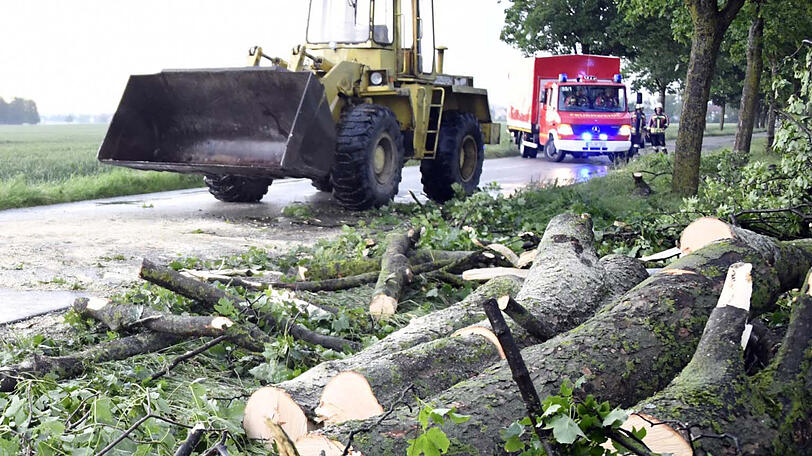 Bäume fielen auf Straßen und mussten klein gesägt werden.