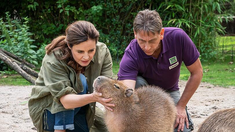 "Tierärztin Dr. Mertens: Fremd im eigenen Haus": Mertens (Elisabeth Lanz, l.) und Cheftierpfleger Conny Weidner (Thorsten Wolf, r.) sorgen sich um Capybara-Männchen Toto.