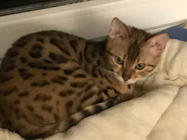 Lili