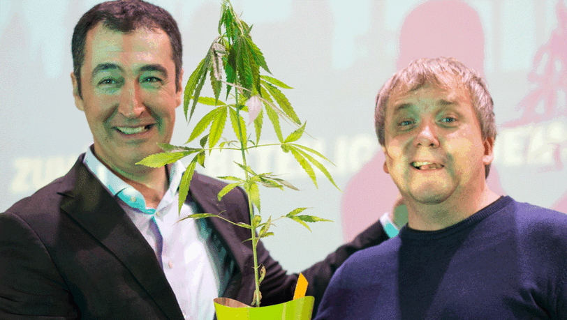 Cem Özdemir (l) bekommt am 11.10.2014 nach seiner Rede bei der Berliner Landesdelegiertenkonferenz von Bündnis 90/Die Grünen in Berlin eine Hanfpflanze geschenkt. Cem Özdemir (l) bekommt am 11.10.2014 nach seiner Rede bei der Berliner Landesdelegiertenkonferenz von Bündnis 90/Die Grünen in Berlin eine Hanfpflanze geschenkt.
