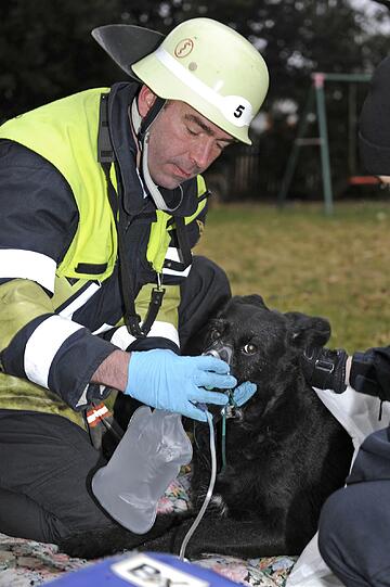 Frankenwaldstr.: Eine tote Frau, ein verletzter Hund und ca. 200.000 € Sachschaden sind die Bilanz des Brandes in einem Einfamilienhaus in Ramersdorf. Die gehbehinderte Bewohnerin kann von der Feuerwehr nur noch tot aus dem Bett geborgen werden. Einen Riesenschnauzermischlingshund retten die Beamten und übergeben ihn der Tierrettung.