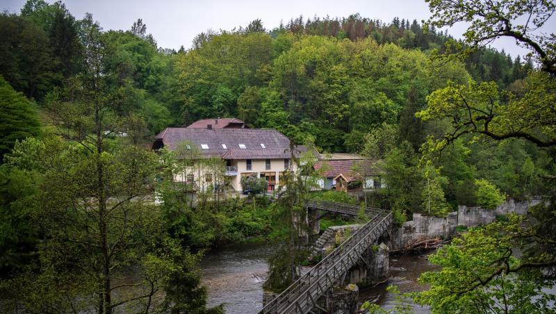 Eine Pension steht von Bäumen umgeben an der Ilz. Foto: Lino Mirgeler/Archivbild Eine Pension steht von Bäumen umgeben an der Ilz. Foto: Lino Mirgeler/Archivbild