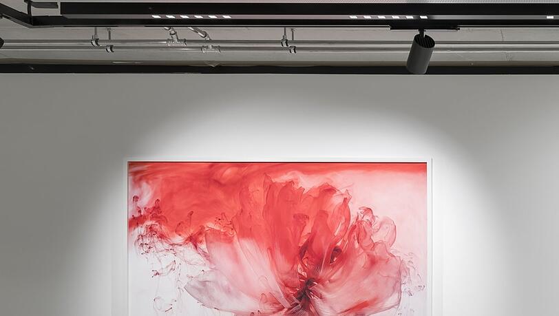 "Fairies VI", 2021, k&uuml;nstlerische Farbstoffforschung von Kathrin Linkersdorff.