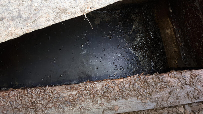 Weitere Bilder des "Horror-Hofs von Oettingen".