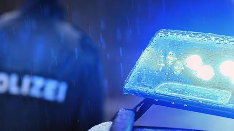 Ein Polizist steht vor einem Streifenwagen dessen Blaulicht aktiviert ist. Foto: Karl-Josef Hildenbrand/dpa