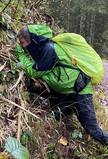 Der Moosexperte Stefan Gey kommt aus Haag im Landkreis Mühldorf am Inn.