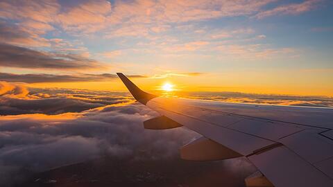 In rund einem halben Jahr geht es wieder in den Sommerurlaub.