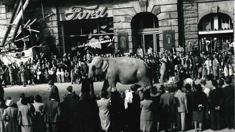 Die Fotos zeigen den Festzug am Lenbachplatz &ndash; auch die Elefanten vom Circus Krone waren mit dabei.