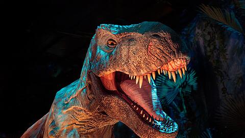 Ein Experience-Objekt, n&auml;her als es scheint: Der Tyrannosaurus Rex trampelt und schnaubt.