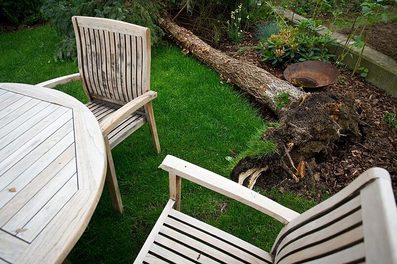 In einem Garten entwurzelte die Windböe einen ganzen Baum.
