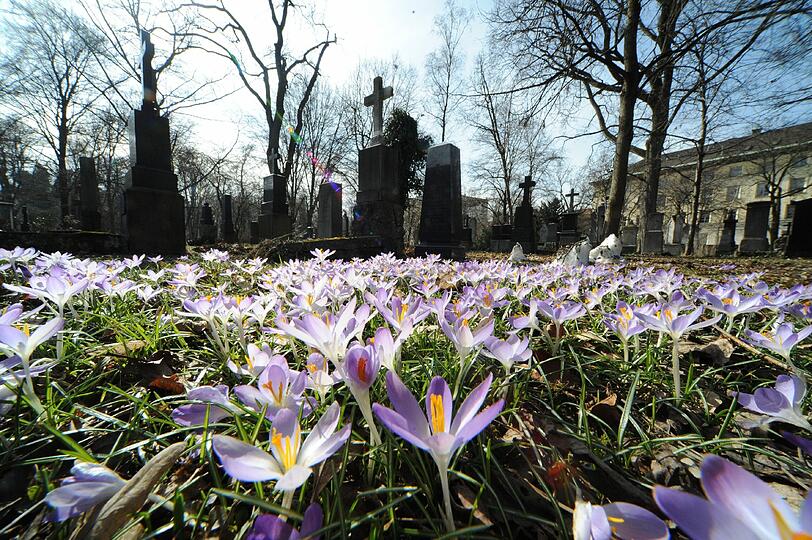 Idyllisch: der Alte Südfriedhof.