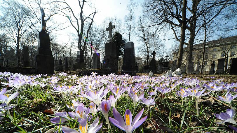 Idyllisch: der Alte Südfriedhof. Idyllisch: der Alte Südfriedhof.