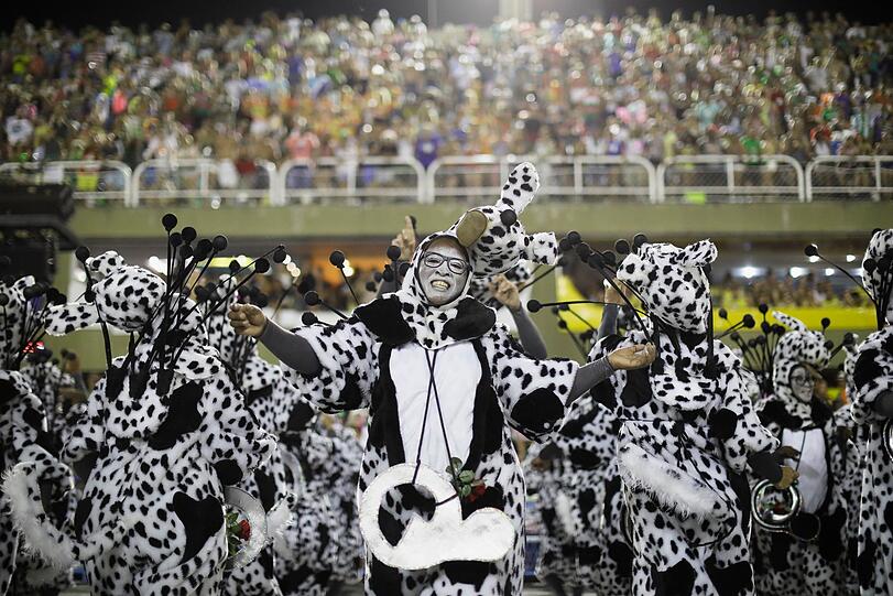 Athletische Tänzer, heiße Rhythmen und kunstvolle Kostüme - die Bilder vom Karneval aus dem Sambadrom in Rio de Janeiro.