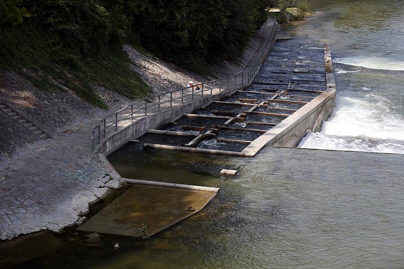Für Springfreudige: die Fischtreppe an der Schwindinsel.