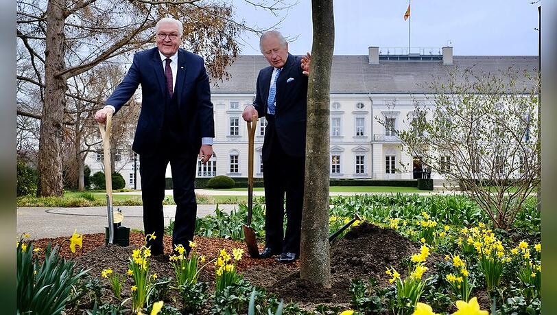 Im Garten von Schloss Bellevue pflanzten König Charles III. und Bundespräsident Steinmeier eine Manna-Esche zu Ehren der Queen.