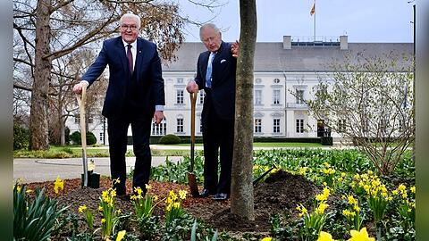 Im Garten von Schloss Bellevue pflanzten König Charles III. und Bundespräsident Steinmeier eine Manna-Esche zu Ehren der Queen.