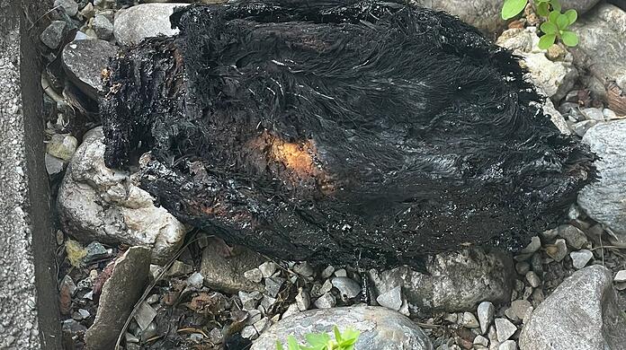Das Taubenküken wurde wohl in Brand gesteckt, als es noch lebte.