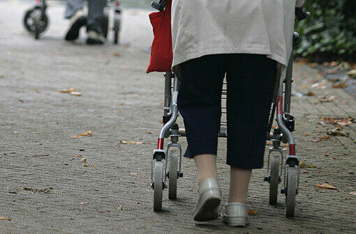 Mit einem Rollator ist der 91-Jährige in den Gartenteich gefallen. (Symbolbild)