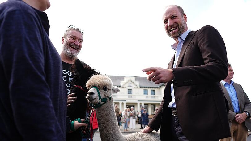 Prinz William hat am Dienstag Dartmoor in der Grafschaft Devon besucht und traf dabei neben Bürgerinnen und Bürgern auch Alpakas. Prinz William hat am Dienstag Dartmoor in der Grafschaft Devon besucht und traf dabei neben Bürgerinnen und Bürgern auch Alpakas.
