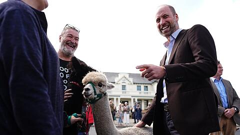 Prinz William hat am Dienstag Dartmoor in der Grafschaft Devon besucht und traf dabei neben Bürgerinnen und Bürgern auch Alpakas. Prinz William hat am Dienstag Dartmoor in der Grafschaft Devon besucht und traf dabei neben Bürgerinnen und Bürgern auch Alpakas.