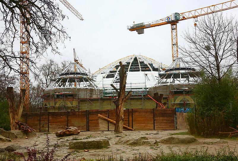 Am Mittwoch war das Richtfest des sanierten Elefantenhauses.