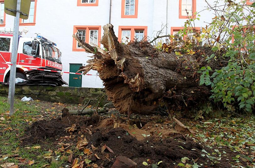 Der Baum brach oberhalb der Wurzel ab, stürzte um und begrub zwei Menschen unter sich. Die Frau starb, der Mann wurde schwer verletzt.