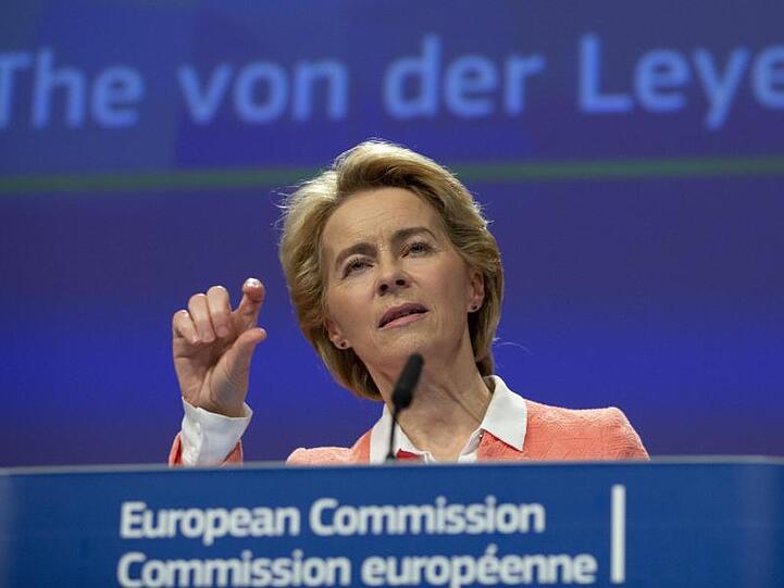 Ursula von der Leyen, zukünftige Präsidentin der Europäischen Kommission, hat Kritik für die Berufsbezeichnung ihres Vizepräsidenten geerntet.