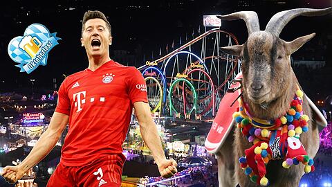Die letzten vier Partien, die der Geißbock-Klub beim FC Bayern während des Oktoberfestes bestritt, blieb er ungeschlagen &ndash; vier Remis, das wollen Robert Lewandowski & Co. ändern.
