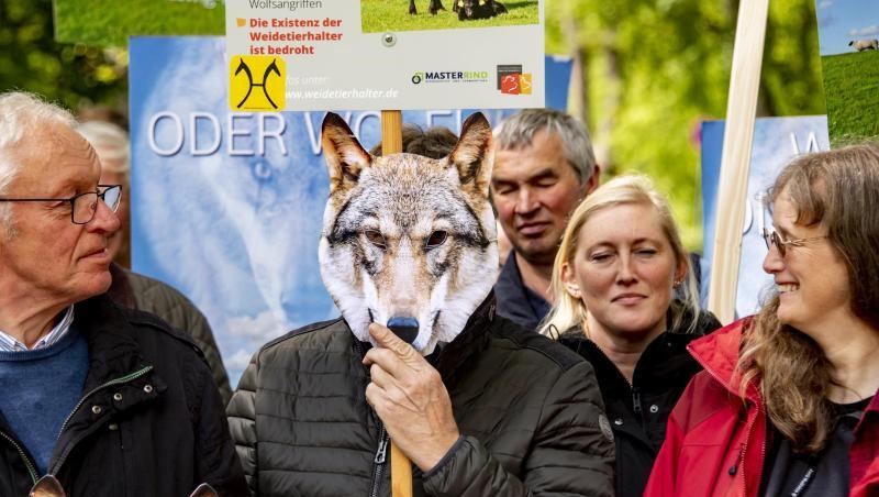 Bauern und Schäfer demonstrieren in Hamburg für einen besseren Schutz ihrer Weidetiere vor Wölfen. Bauern und Schäfer demonstrieren in Hamburg für einen besseren Schutz ihrer Weidetiere vor Wölfen.